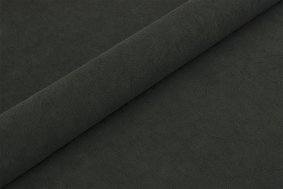 Lisa Velvet 2969