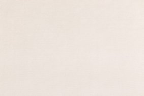 Melon New 2162