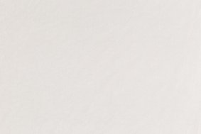 Melon New 2161
