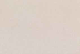 Melon New 2164