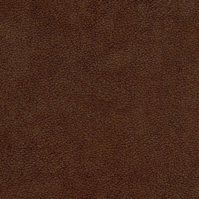 Leatherstar 05